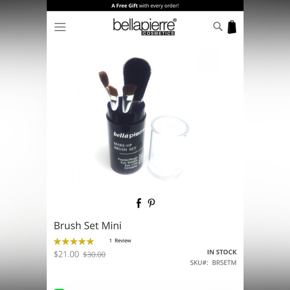 Bellapierre Cosmetics Other - Bellapierre Black Makeup Brush Set